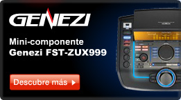 Genezi FST-SUZ999